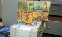 800 ريال لكل دولار.. انهيار العملة يفاقم أزمة الاقتصاد اليمني