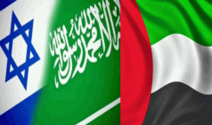 النظامين السعودي والإماراتي طوق النجاة للكيان الصهيوني من أزماتة الداخلية