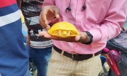 العثور على سلحفاة صفراء نادرة في الهند للمرة الثانية خلال عام