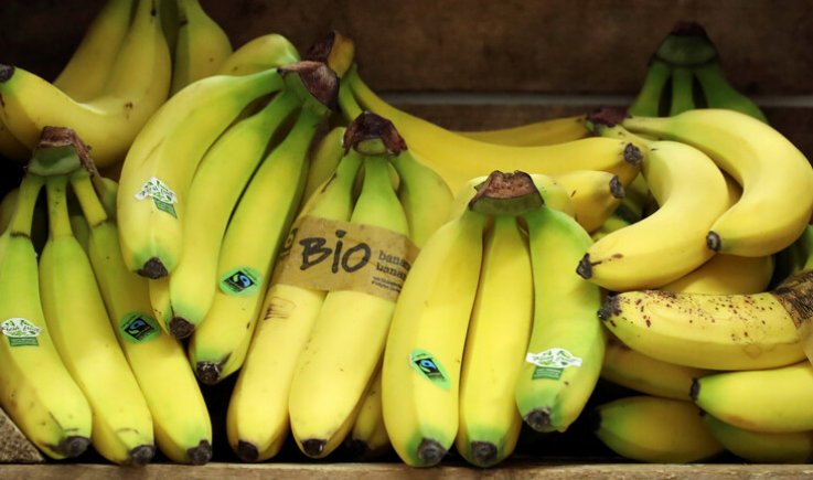 الموز فاكهة عالية القدرات في تأمين التوازن الصحي للجسد