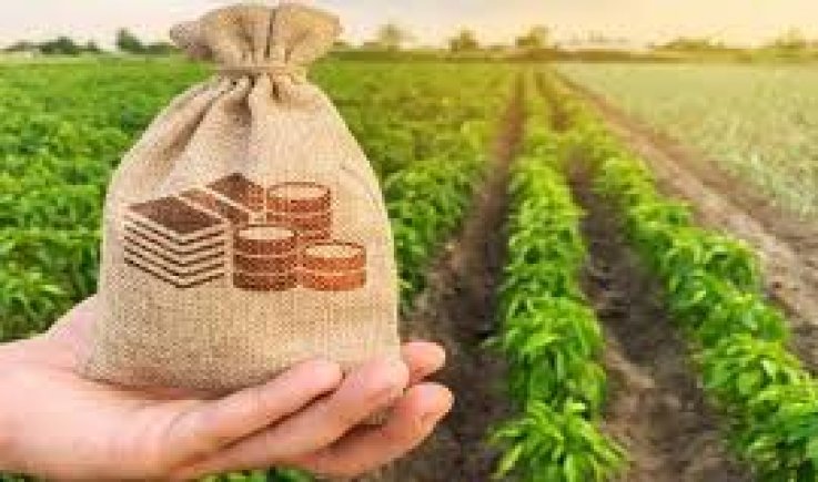 الاستثمار الزراعي في اليمن  ودوره في تحقيق الأمن الغذائي. 