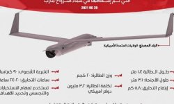 إسقاط طائرة تجسسية بصاروخ ارض  - جو في سماء مدغل