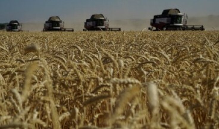 روسيا تعلن عن شروطها لتمديد صفقة الحبوب في مايو القادم