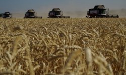 موسكو: لا داعي لتمديد صفقة الحبوب إن لم يتم حل مشاكلها الأساسية