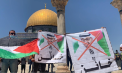 الإمارات تسخّر كل طاقاتها لتصفية القضية الفلسطينية