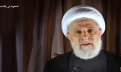 نعيم قاسم: حزب الله بخير