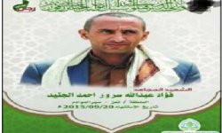 تنبؤات الشهيد فؤاد عبدالله سرور الجنيد الرافضة لقرار مجلس الأمن