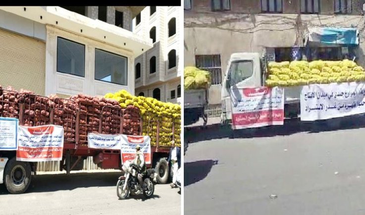 بذور البطاطس .. معركة سيادة وطنية في وجه الاستيراد الخارجي !