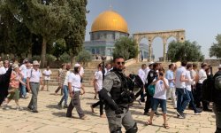 165 مغتصباً يهودياً يقتحمون باحات المسجد الأقصى المبارك