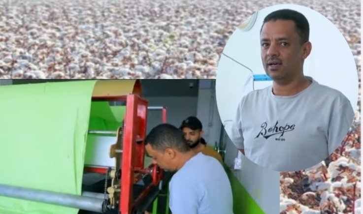 خبير خياطة وصناعة وإنتاج الملابس القطنية لبيب العريقي: نؤكد على أهمية التوسع في زراعة القطن وربطه بصناعة الغزل والنسيج محلياً 